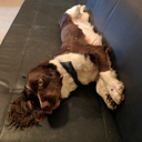 magicwilllead avatar