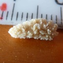 magnetplanets avatar