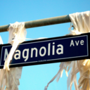 magnolia-avenue avatar