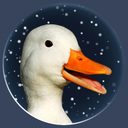 majestic-space-duck avatar