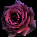 make-your-dreams-a-reality avatar