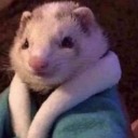 makemegiveashit avatar