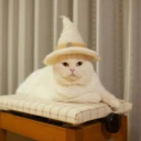 malfunctionart avatar