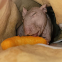 mama-imscared avatar