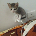 mama-reblogging avatar