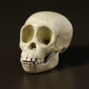 maniacal-medical-blog avatar