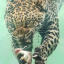 mannythemenace avatar