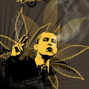 manueldongalero avatar