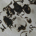 manuscriptpawprint avatar