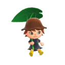 mapleoid avatar