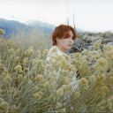 mapofthemazeinthemirror avatar