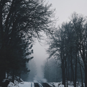 mapsandmisadventurousthings-blog avatar