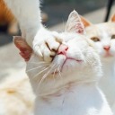 marberytyphoon avatar