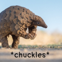 margotlovessally avatar