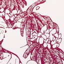 mariam-of-balbadd avatar