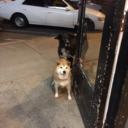 mariethelostone avatar