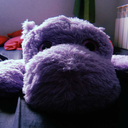 marionett-macska avatar