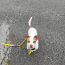 marked-by-moonlight avatar