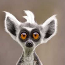 marphy65-blog avatar