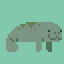 marquisofmanatee avatar