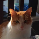 marriedtomothman157-blog avatar