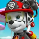 marshallfirepupkin avatar