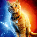 marvellousbrattigan avatar