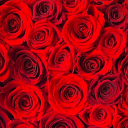 marvelous-777 avatar