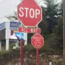 maryjanewtson avatar