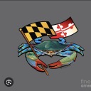 maryland-official avatar
