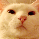 mashedtaterbater avatar