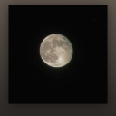 masochisticrayne avatar