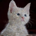 massivecatglitter avatar