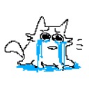 matches-is-meow avatar