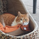 math-will-be-my-13th-reason avatar