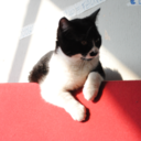 matiascontilde-blog avatar