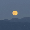 matterofthemoon-write avatar