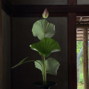 matthewsummerheart avatar