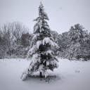 mavisiirleryazanelif avatar