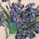 maviyebagimli avatar