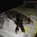 maxeinfachnurmax avatar