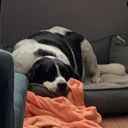 maxineholtzmann avatar