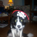 maxthewerewolff avatar