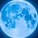 maybe-i-am-a-bot avatar