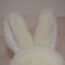 maybeimnotcool avatar