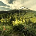 mayui-yukisaki avatar