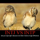mbti-on-steroids avatar