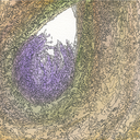 mbticonfessions avatar