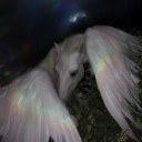 mdnght-thndr-p avatar