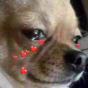 me-la-pelasss avatar